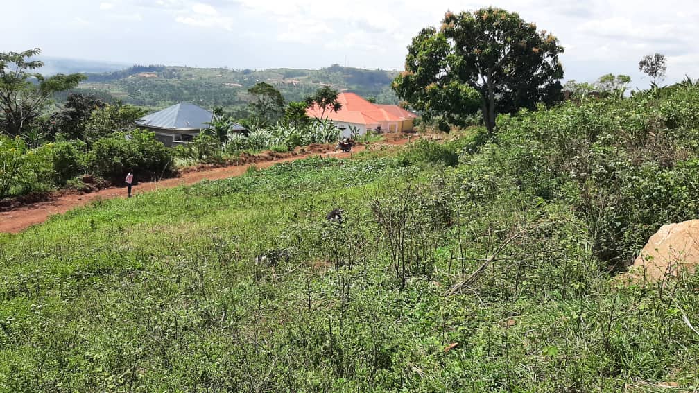 Jomayi Plots Mbalala Mukono - Aderok Real Estates Uganda