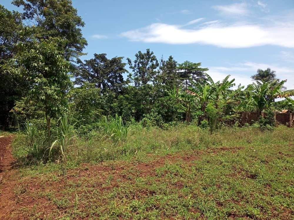 1-5acre-land-for-sale-in-jinja-bukaya-aderok-real-estates-uganda