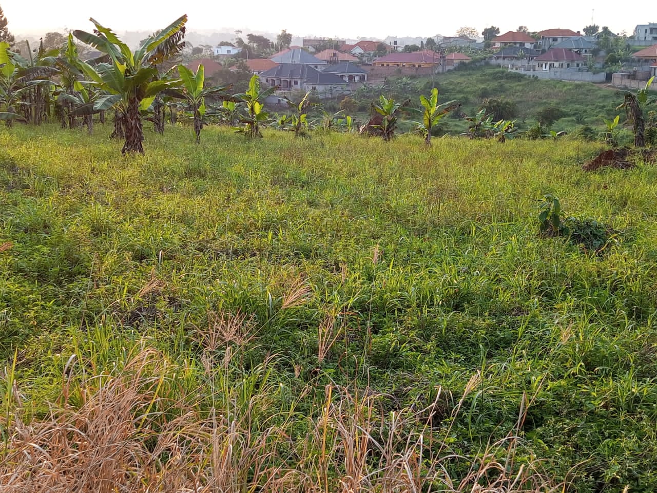 estate-plots-for-sale-in-jinja-misindye-aderok-real-estates-uganda