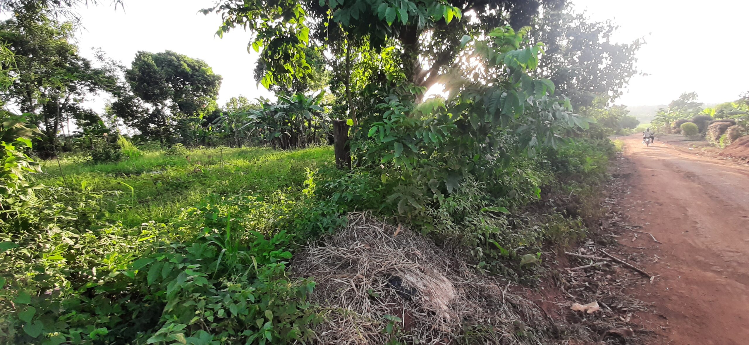 1 Acre Land For Sale In Janda - Aderok Real Estates Uganda